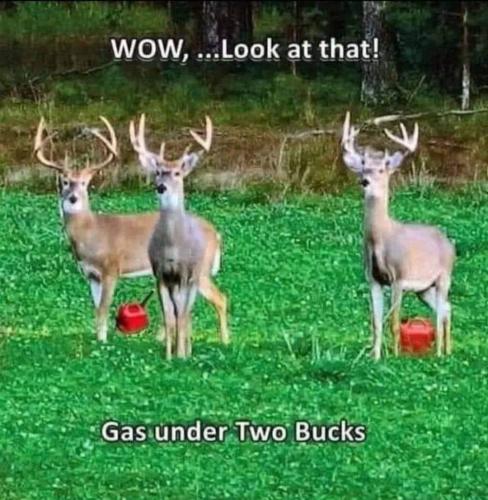 FB_IMG_1658328607795