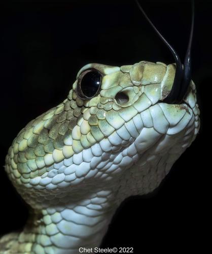 292510362_1427332437680096_3651570241580851934_n