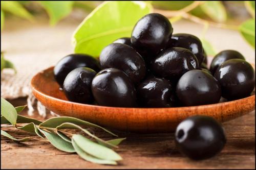Black oLives Matter
