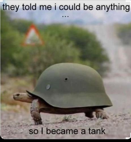 291876241_10226857564207322_4936575141628930883_n