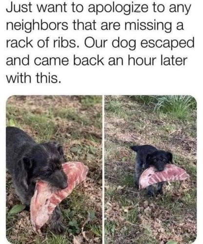 FB_IMG_1657052419561