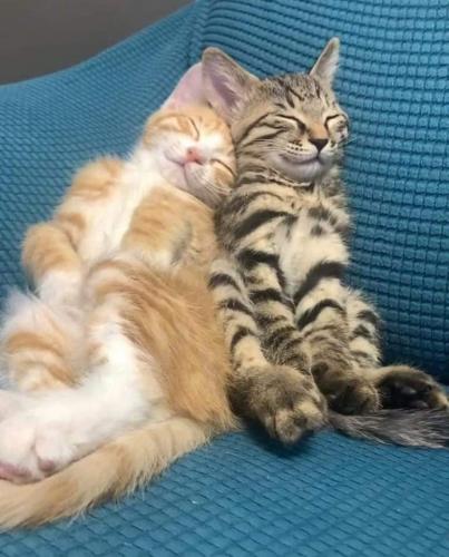 FB_IMG_1658774948516