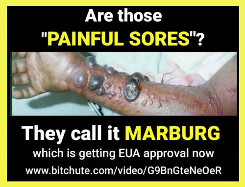 Screenshot_2022-07-04-10-15-27-529_com.instagram.android~2