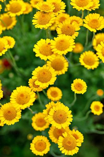 tumblr_b6295812b810af8fbf167a6c88282658_90591ef1_640