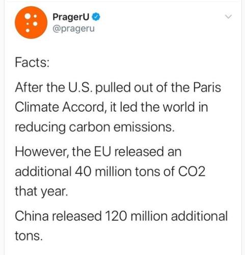 _()_funny-face-idiot-moron-fool-260nw-1381519269