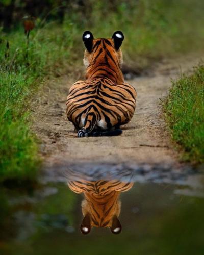 tumblr_5f69a630b77434800b35be7106cce2ff_76462c07_540