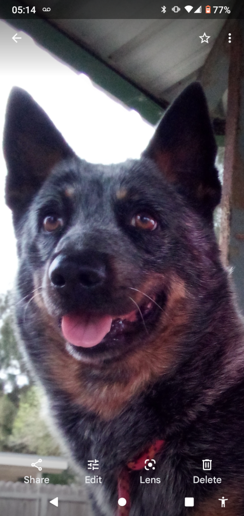 Screenshot_20220127-051404