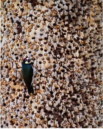 Screenshot_2022-07-01-13-49-30_kindlephoto-294031647