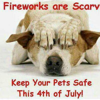 2a342d50-6385-424a-9801-c24ada178573