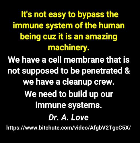 Screenshot_2022-07-29-10-36-10-949_cn.wps.moffice_eng~2