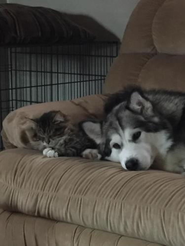 ACADFB07-4BA8-4802-90E2-29D03F65A8E0