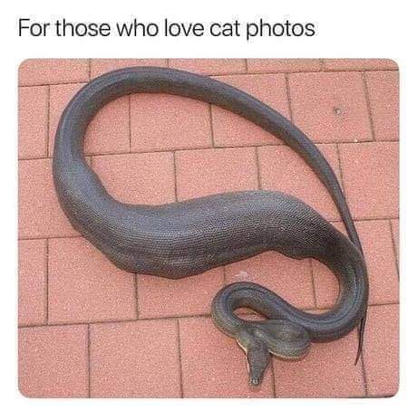 FB_IMG_1657910147974
