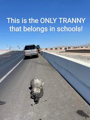 FB_IMG_1657346153890~2