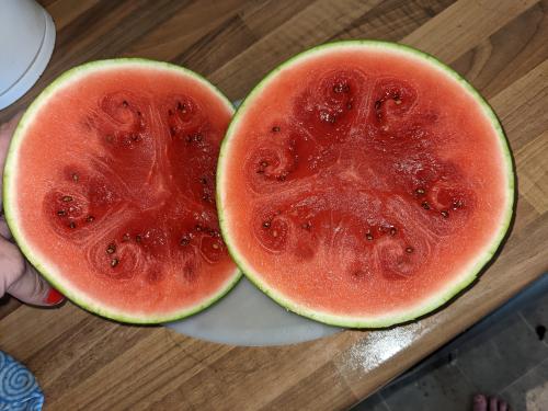 PXL_20220719_164109870