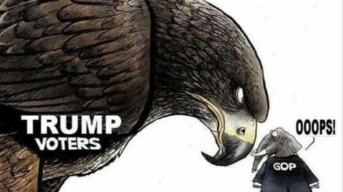 Screenshot_20220709-105231_Chrome