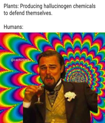 FB_IMG_1657833862391