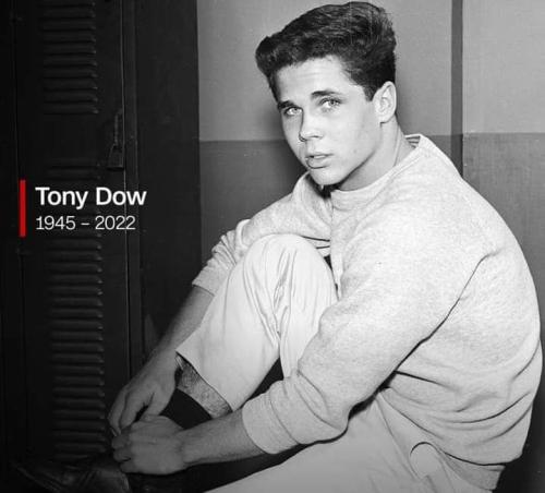 FB_IMG_1658873491621