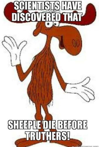 img - 2022-07-09T175702.625