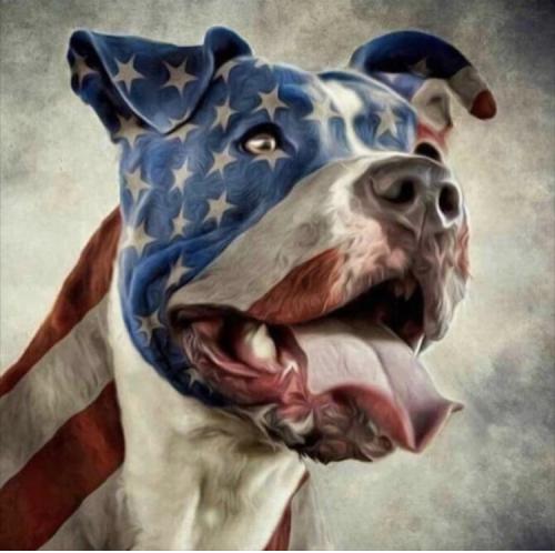 14:42:22 GMT-0400 (EDT).image