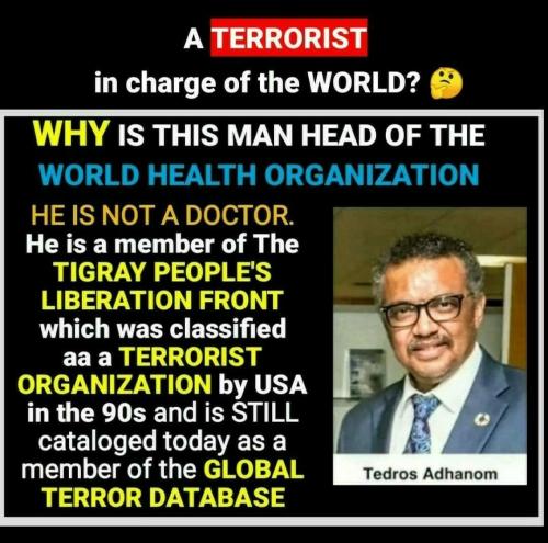 Screenshot_2022-07-29-11-04-16-333_com.google.android.apps.photos~2