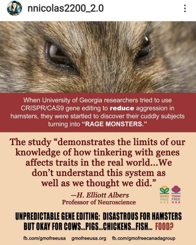 Screenshot_2022-07-01-10-53-59-931_com.instagram.android~2