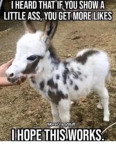 295237032_5476938902352130_406967737672475005_n