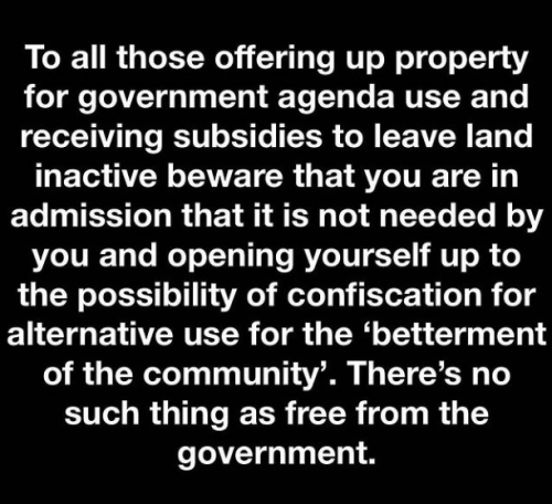 captures_chrome-capture-2022-6-23 (11)