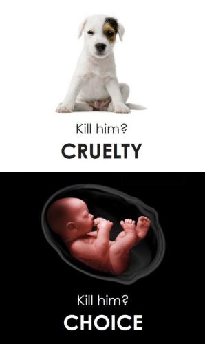 00a06c16da89907275ff36220a50a382-612x1024