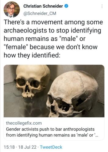 tumblr_13dbd809ec1682588d1048cb81fd0dab_f1ea8e7d_640