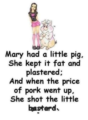 FB_IMG_1658092757535