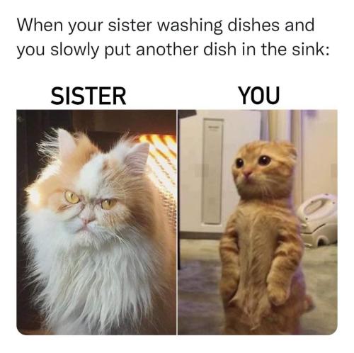 FB_IMG_1659110896868