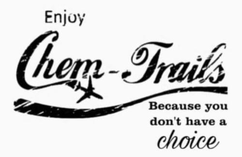 photo_2022-07-22_14-09-48