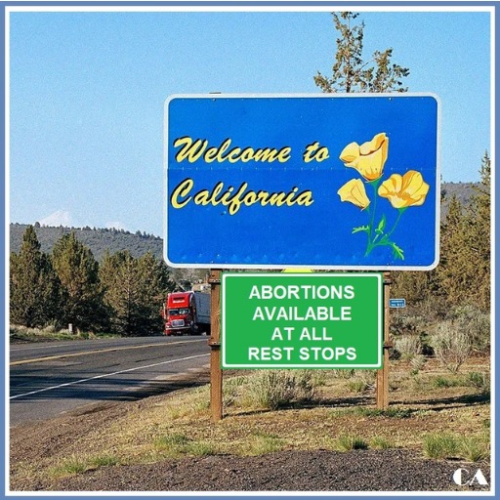 captures_chrome-capture-2022-6-8 (7)