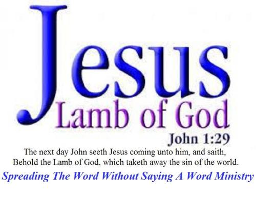 1017655_989315541150577_4064124144159850014_n