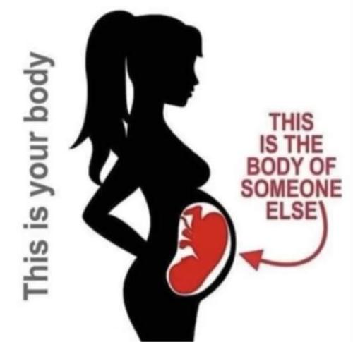 FB_IMG_1656624038450