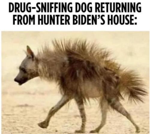 07:50:09 GMT-0500 (CDT).image