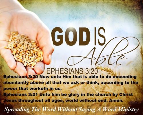 12509181_984549628293835_5026644733684682125_n