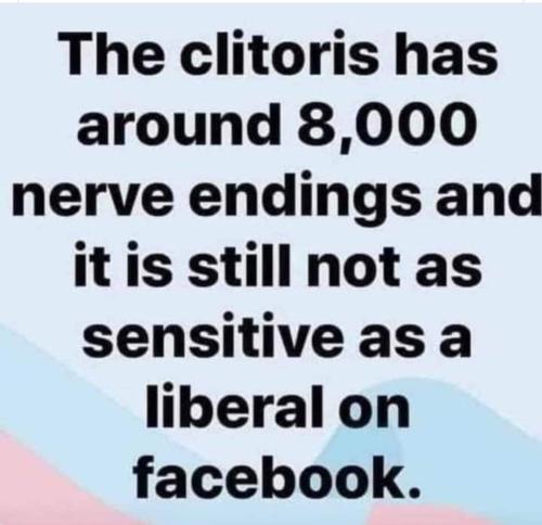 08:28:36 GMT-0400 (EDT)