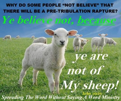 122439084_3552027431546029_8582368123008344809_n