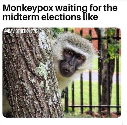 photo_2022-07-27_11-04-30