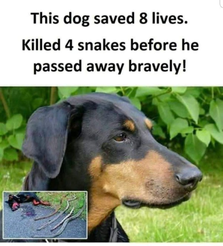 img - 2022-07-03T104007.939