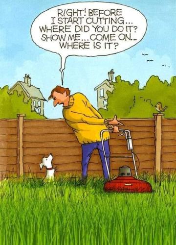 293780156_163996609487919_807702262807900023_n