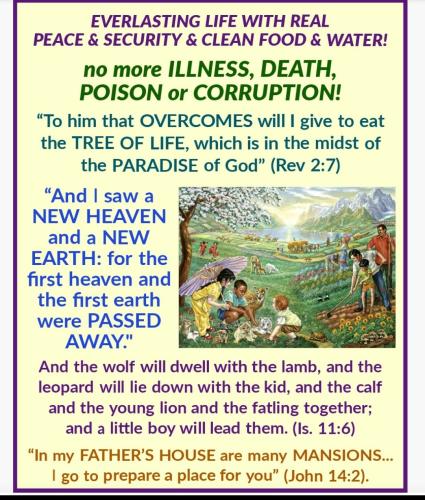 Screenshot_2022-07-01-08-26-27-182_com.google.android.apps.photos~2