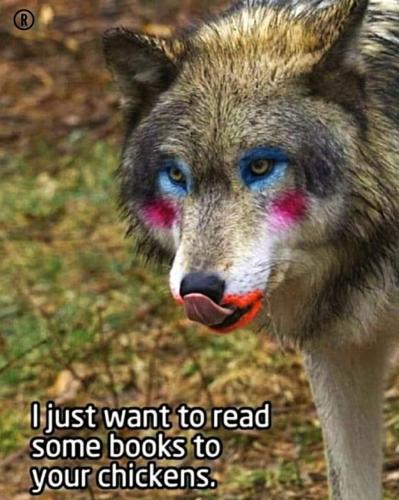 19:04:36 GMT-0500 (CDT)