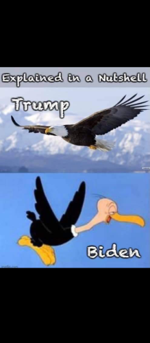 20:35:25 GMT-0400 (EDT)