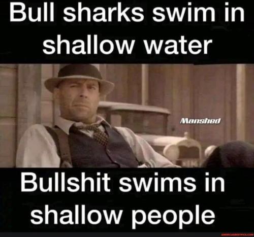 3dd71198fc91cabd7f7e1b139cf61214b118f5801b2b3c51ff72a24b7a907864_1