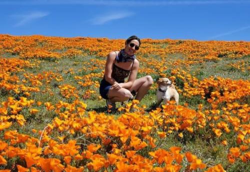 Screenshot_20220710-230307