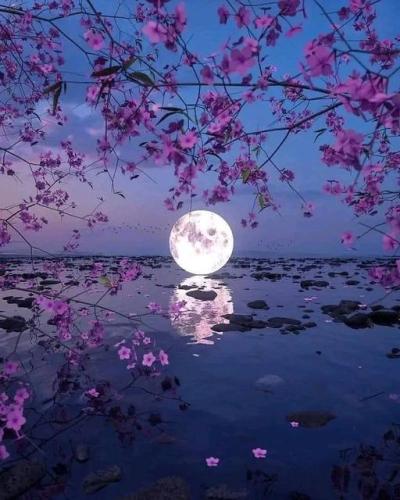 ,                                                                                                                                                                                                                          0 b