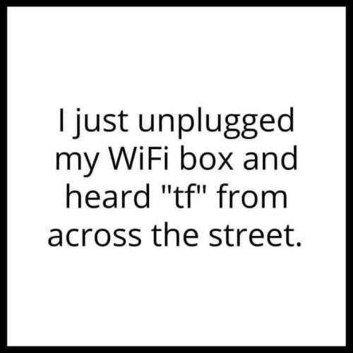 FB_IMG_1659062232019