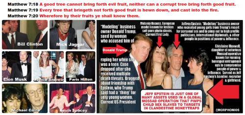 292789401_1249807032446006_6554087568710565688_n